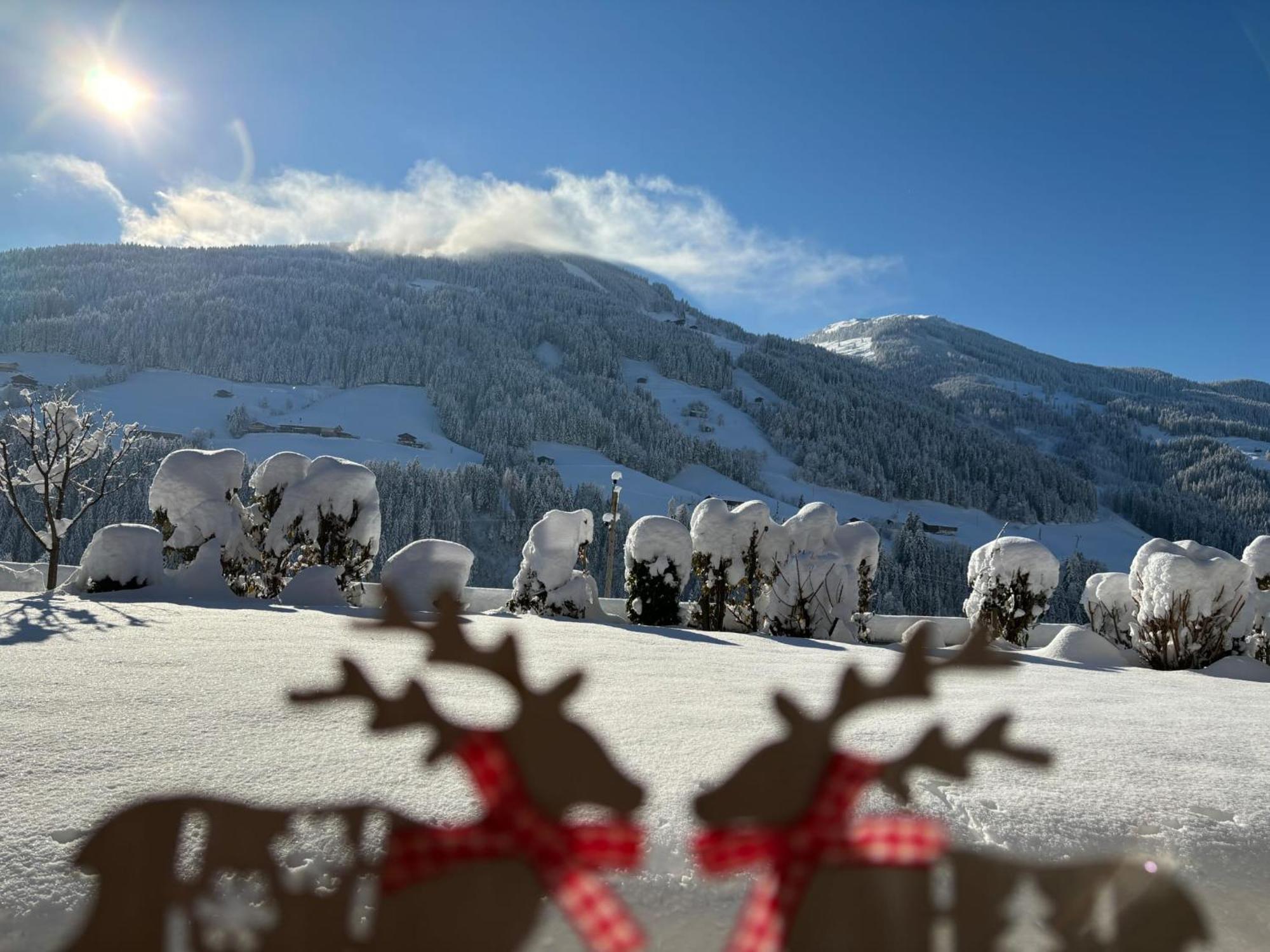 Haus Schmetterling Apartamento Alpbach Exterior foto