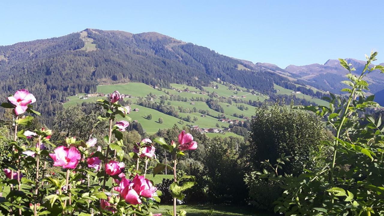 Haus Schmetterling Apartamento Alpbach Exterior foto